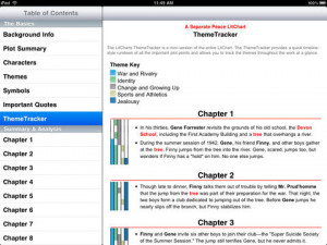 iPad Screenshot 5