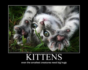 Motivational Kitten You Can Do It Hug-a-kitten motivational by