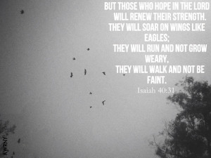 Bible Verses About Hope : 21 Incredible Scriptures to Anchor the Soul