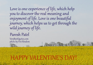 ... love quotes, Valentine's Day Quotes, Love is one experience of life