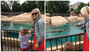 Eat Your Lady Right Quotes