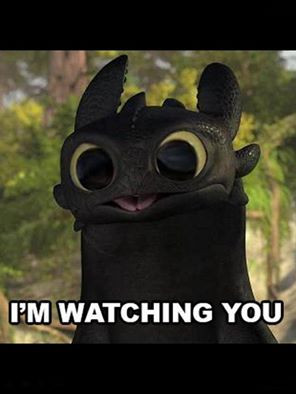 Toothless Bug Eyes - how-to-train-your-dragon Photo