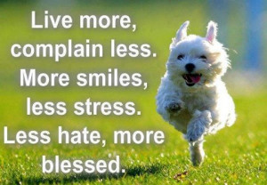 Live more, Complain less, More smiles, Less stress, Less hate, more ...