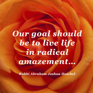quotes-life-rabbi-heschel-480x480.jpg