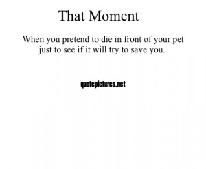 That moment when you pretend to die in front of your pet