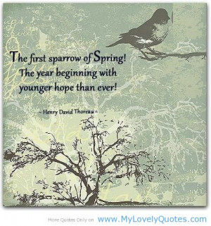 The first sparrow of spring! -happy birds spring