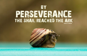By Perseverance the Snail Reached the Ark - Charles Spurgeon ...