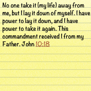 Pinned by Sarah Edens