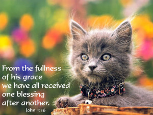 Email This BlogThis! Share to Twitter Share to Facebook Share to ...