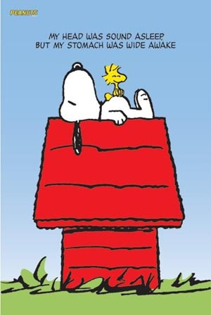snoopy and woodstock ]