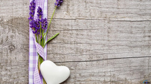Download wallpaper Lavender flowers and heart: