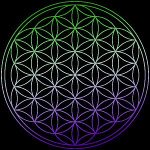 Green and Purple Flower of Life