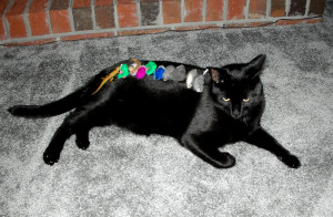 Organizational Skills Quotes As our organizational skills