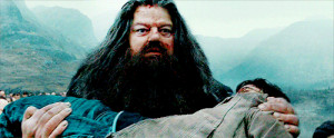Can we all take a moment to appreciate Hagrid? Seriously, everyone ...