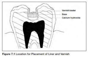Dental Materials for Dental Assisting Exam Study Guide | Education.com ...