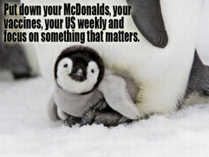 ... pictures: Animal quotes, animal cruelty quotes, animal rights quotes