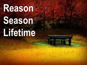 Reason, season, and lifetime!!!