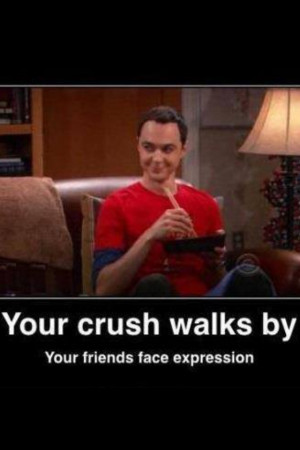 Sheldon Cooper From Big Bang Theory Relatable Best Friends