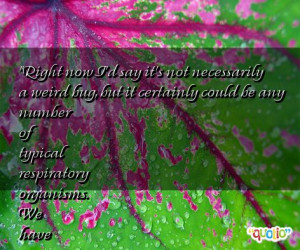 About Lsd Credited Quoteko