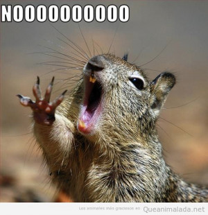 Nooo, no mates a la madre de Bamby, por Diooos!