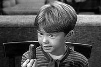 The Pickle Story (The Andy Griffith Show episode): Wikis
