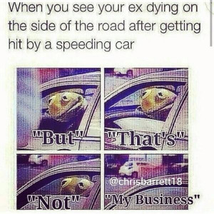 Twitter statuses about No Frog - Twitter.WhoTalking.com