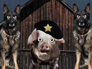 Related Pictures animal farm quotes about mr jones by marc