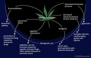... drugs next image thoughts on marijuana legalization therapy cannabis