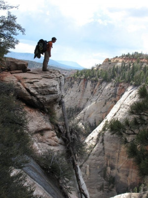 Pin it Like Visit Site