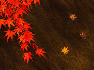 Clip Art Autumn Background