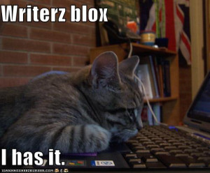 funny-pictures-cat-has-writers-block - funny-pictures-cat-has-writers ...