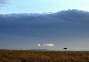 Tanzanian Landscape Photograph