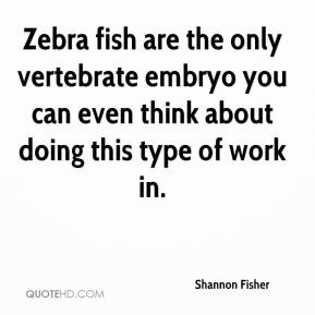 Shannon Fisher - Zebra fish are the only vertebrate embryo you can ...