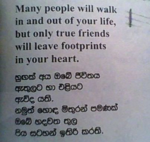 Sinhala Quotes – Nisadas