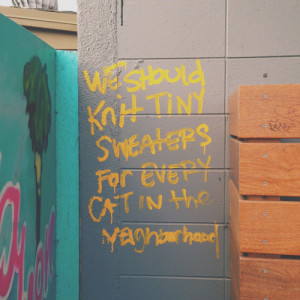 we should knit tiny sweaters for every cat in the neighborhood ...