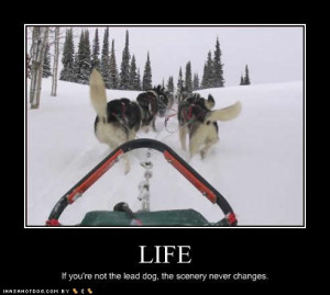 Fun Animal Facts for Kids Crazy, Cool, Funny, Amazing, Interesting