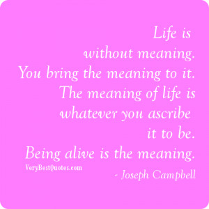 ... is without meaning you bring the meaning to it the meaning of life