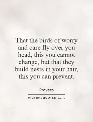 Worry Quotes Hair Quotes Bird Quotes Fly Quotes Proverb Quotes