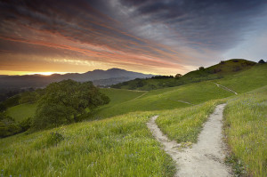 This type of photography may also appeal to you as you’re usually ...