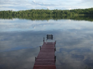 Book Club Resources for The Story of Edgar Sawtelle