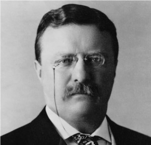 theodore roosevelt home history presidents