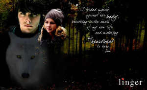 maggie stiefvater shiver series sam