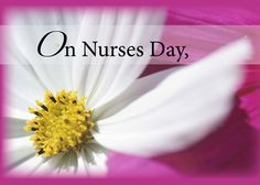 Nurses Day Pink - Show your thank you to a nurse who makes people's ...