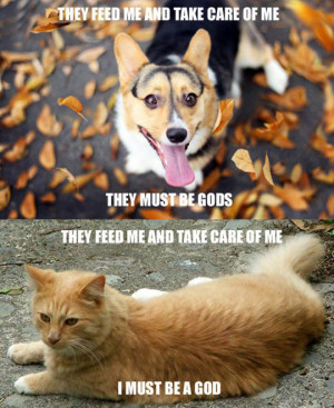 Cats vs. dogs