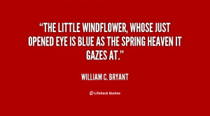 The little windflower, whose just opened eye is blue as the spring ...