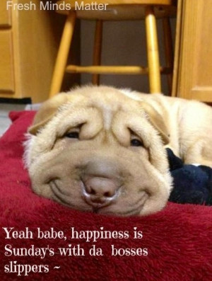 Happiness quote via Fresh Minds Matter at www.Facebook.com ...