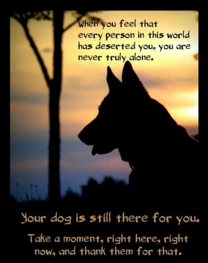 Dog Loyalty Quotes