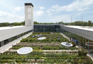 Rooftop Haven for Urban Agriculture – Chicago USA – An award ...