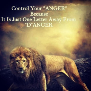 ... Ideas, My Life, Fking Lion, True Words, Lion Quotes, D Anger Lion