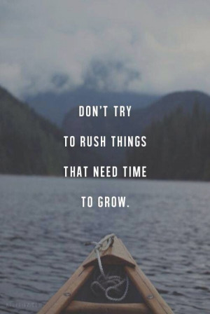 Don't try to rush things